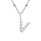 V Stainless Steel
