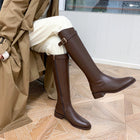 Brown With Velvet